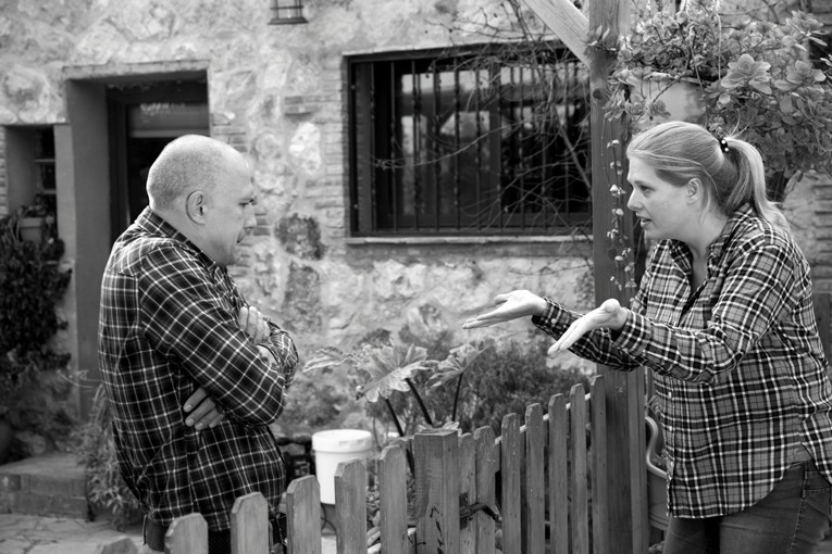 Professional mediation for boundary disputes